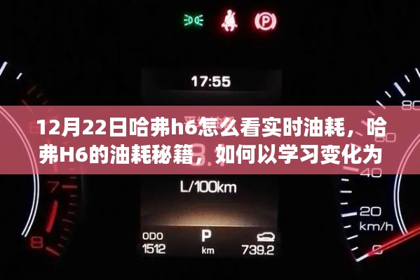 哈弗H6實時油耗秘籍，學習變化為燃料，駛向自信彼岸的指南