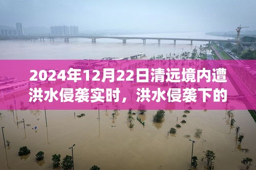 洪水侵襲下的清遠秘境，美食奇遇與實時報道