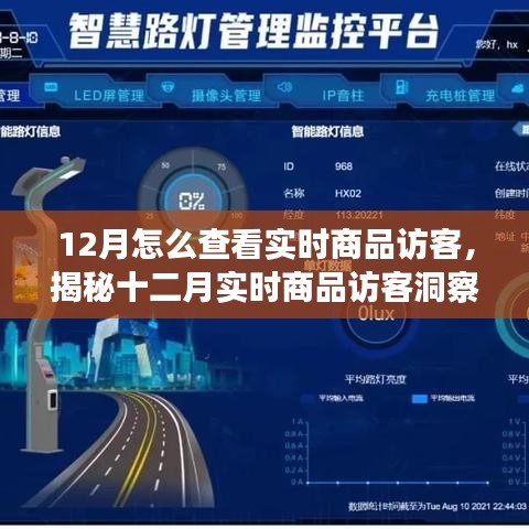 揭秘十二月實(shí)時(shí)商品訪客洞察，洞悉訪客動(dòng)態(tài)與商業(yè)進(jìn)展的秘訣
