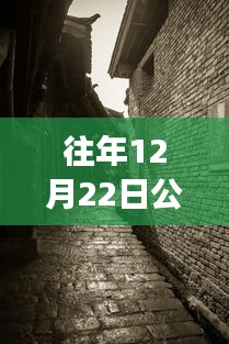 探秘寶藏店，公路云實(shí)時(shí)監(jiān)控軟件下載新體驗(yàn)，12月22日實(shí)時(shí)下載探秘小巷深處之旅