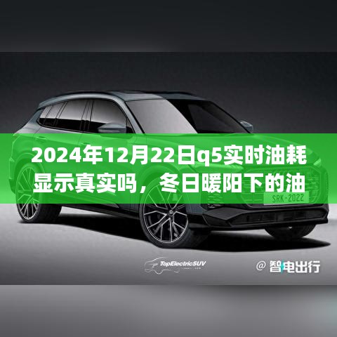 冬日暖陽下的真相探尋，2024年Q5實(shí)時(shí)油耗顯示的可信度與友情之旅