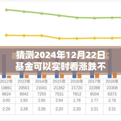 2024年12月22日基金實(shí)時(shí)漲跌預(yù)測(cè)攻略，掌握未來(lái)走勢(shì)，初學(xué)者與進(jìn)階用戶必讀