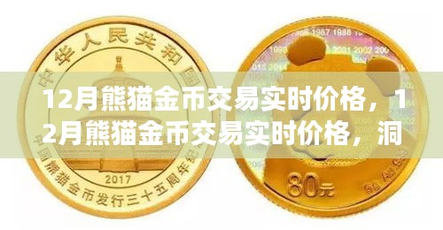 12月熊貓金幣實時交易價格，洞悉市場動態(tài)，把握投資機會