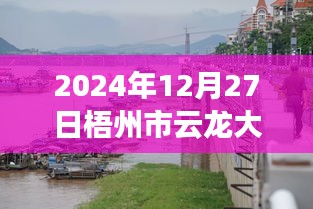 梧州市云龍大橋?qū)崟r水位監(jiān)測指南，以初學(xué)者和進階用戶視角看水位監(jiān)測