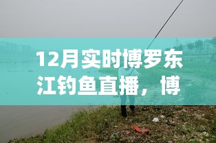 博羅東江畔的釣魚盛宴，12月實(shí)時釣魚直播開啟！