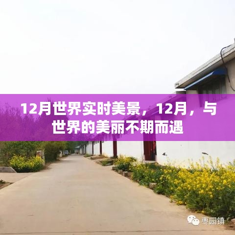 12月世界美景盡收眼底，與全球美麗的不期之約