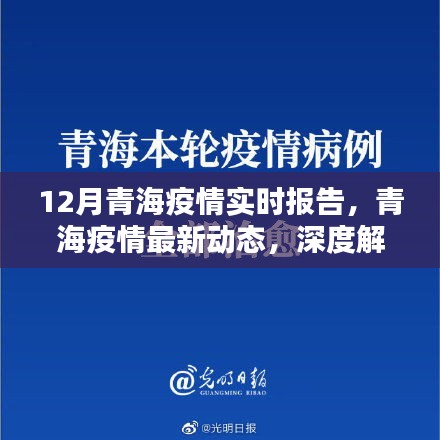 青海疫情深度解析，十二月實時報告與最新動態(tài)