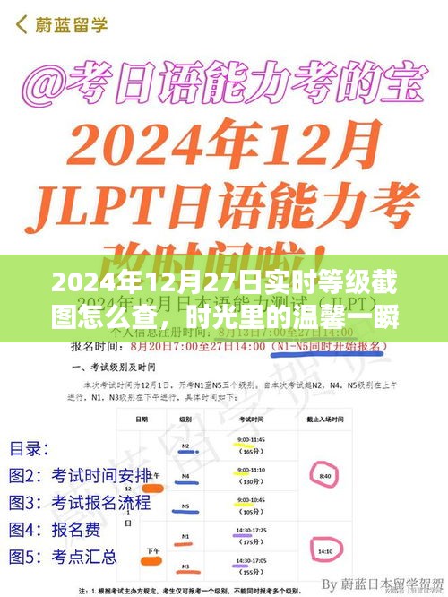 2024年12月27日等級截圖揭秘，時光溫馨一瞬，友誼見證時刻