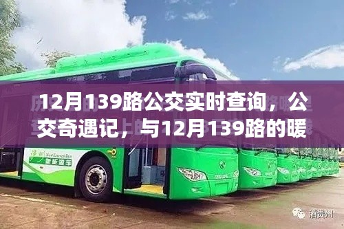 12月139路公交車，暖心之旅的實時奇遇記