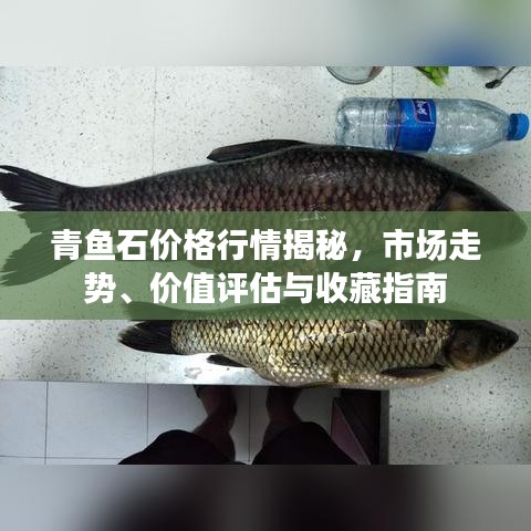 青魚(yú)石價(jià)格行情揭秘，市場(chǎng)走勢(shì)、價(jià)值評(píng)估與收藏指南