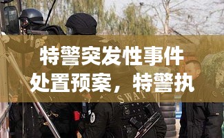 特警突發(fā)性事件處置預(yù)案，特警執(zhí)勤突發(fā)事件視頻 