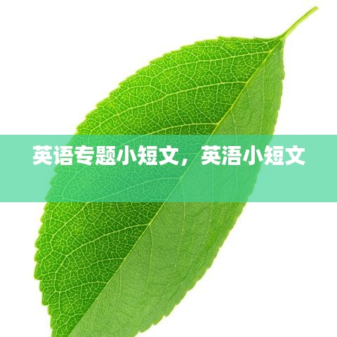 英語專題小短文，英浯小短文 