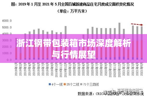 浙江鋼帶包裝箱市場深度解析與行情展望