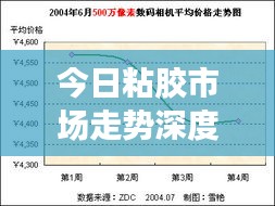 今日粘膠市場走勢深度解析，最新行情報告