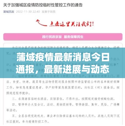 蒲域疫情最新消息今日通報(bào)，最新進(jìn)展與動(dòng)態(tài)關(guān)注