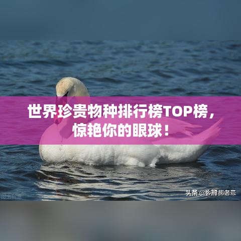 世界珍貴物種排行榜TOP榜，驚艷你的眼球！