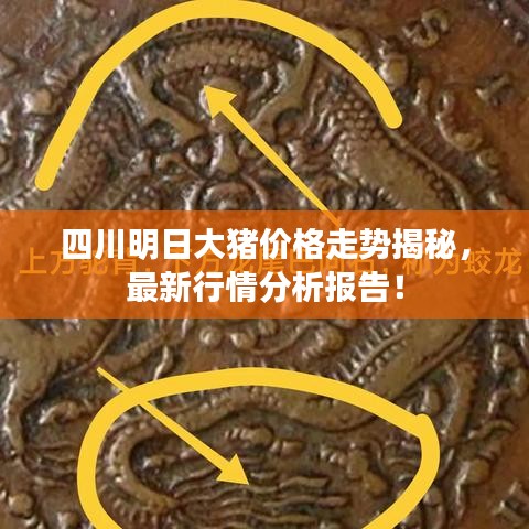 四川明日大豬價(jià)格走勢(shì)揭秘，最新行情分析報(bào)告！