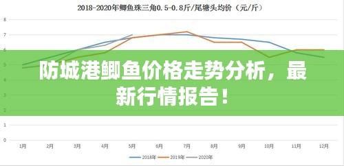 防城港鯽魚價格走勢分析，最新行情報告！