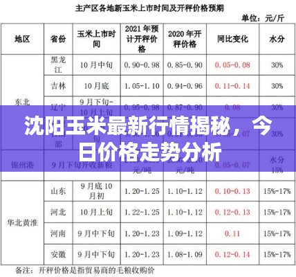 沈陽(yáng)玉米最新行情揭秘，今日價(jià)格走勢(shì)分析