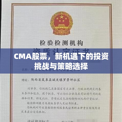 CMA股票，新機(jī)遇下的投資挑戰(zhàn)與策略選擇