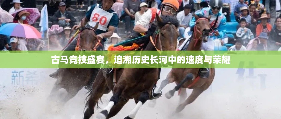 古馬競技盛宴，追溯歷史長河中的速度與榮耀