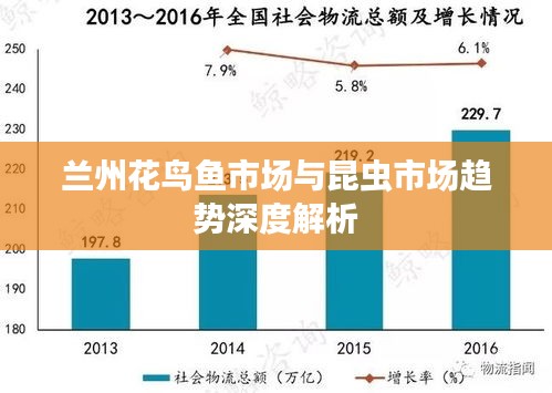 蘭州花鳥魚市場(chǎng)與昆蟲市場(chǎng)趨勢(shì)深度解析