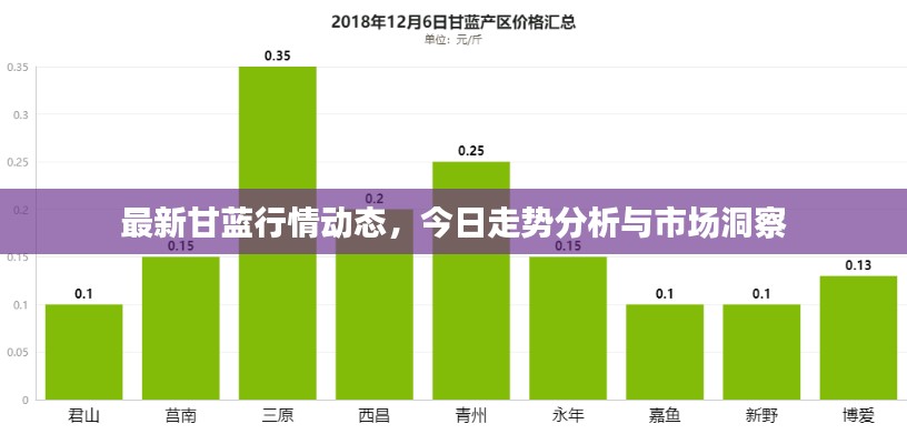 最新甘藍(lán)行情動態(tài)，今日走勢分析與市場洞察