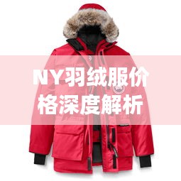 NY羽絨服價格深度解析，了解真實價格，選購更明智！