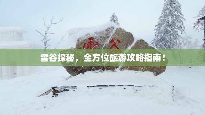 雪谷探秘，全方位旅游攻略指南！