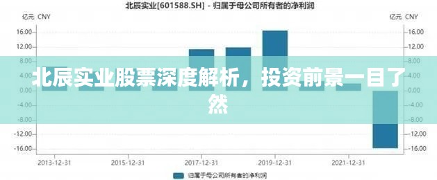 北辰實(shí)業(yè)股票深度解析，投資前景一目了然