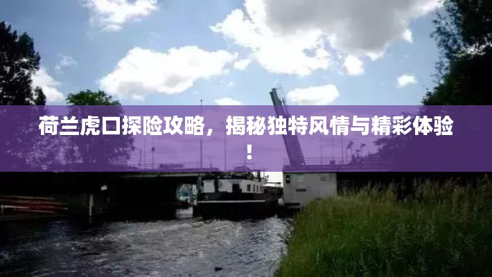 荷蘭虎口探險攻略，揭秘獨特風(fēng)情與精彩體驗！