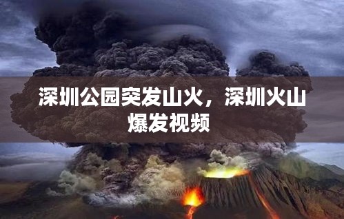 深圳公園突發(fā)山火，深圳火山爆發(fā)視頻 