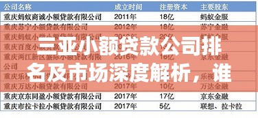 三亞小額貸款公司排名及市場深度解析，誰是行業(yè)佼佼者？