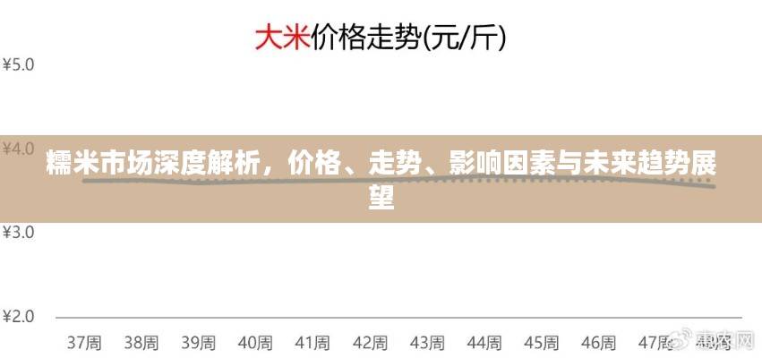 糯米市場深度解析，價格、走勢、影響因素與未來趨勢展望