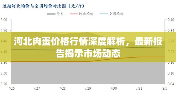 河北肉蛋價格行情深度解析，最新報告揭示市場動態(tài)