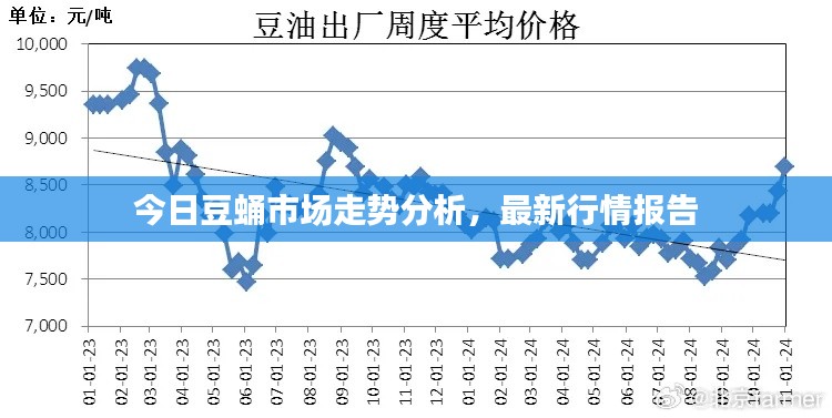 今日豆蛹市場(chǎng)走勢(shì)分析，最新行情報(bào)告