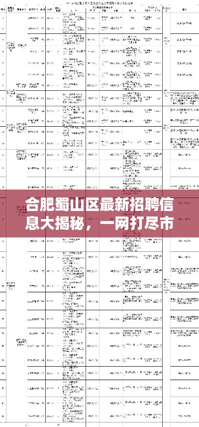 合肥蜀山區(qū)最新招聘信息大揭秘，一網(wǎng)打盡市區(qū)各大企業(yè)職位空缺