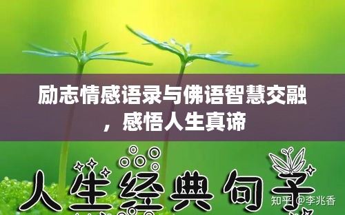 勵志情感語錄與佛語智慧交融，感悟人生真諦