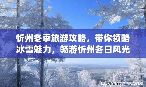 忻州冬季旅游攻略，帶你領(lǐng)略冰雪魅力，暢游忻州冬日風(fēng)光！