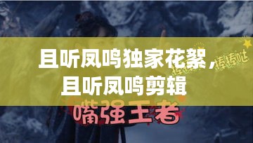 且聽鳳鳴獨家花絮，且聽鳳鳴剪輯 