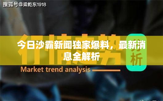 今日沙霸新聞獨(dú)家爆料，最新消息全解析