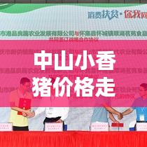 中山小香豬價(jià)格走勢大揭秘，最新行情分析！