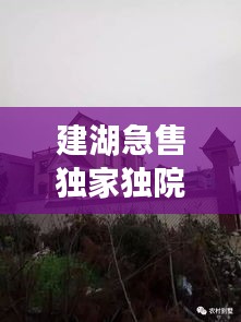 建湖急售獨家獨院，建湖哪里有30到40萬的房子 