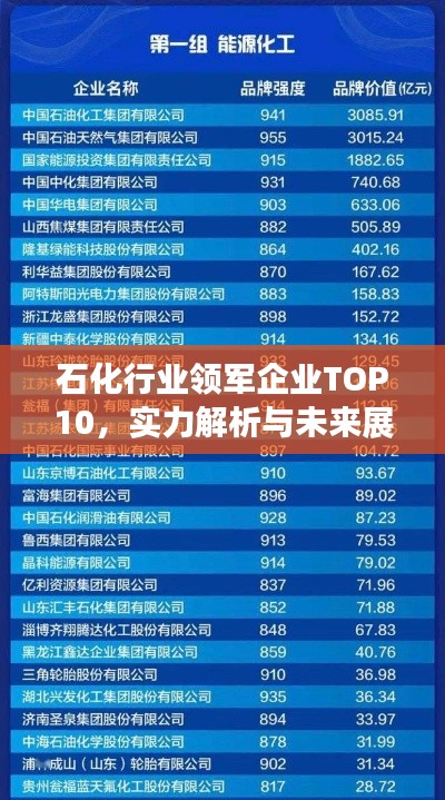 石化行業(yè)領(lǐng)軍企業(yè)TOP10，實力解析與未來展望