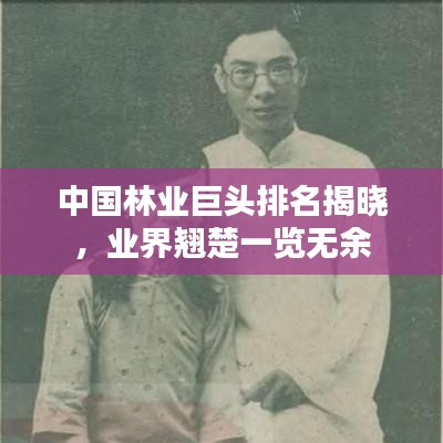 中國(guó)林業(yè)巨頭排名揭曉，業(yè)界翹楚一覽無余