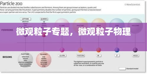 微觀粒子專(zhuān)題，微觀粒子物理 