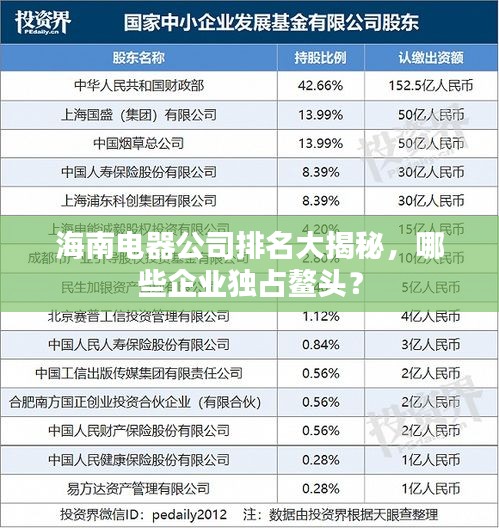 海南電器公司排名大揭秘，哪些企業(yè)獨占鰲頭？