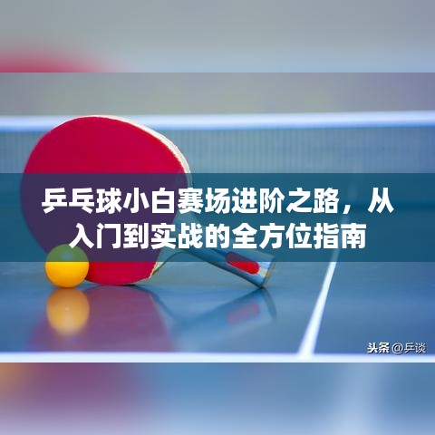 乒乓球小白賽場進(jìn)階之路，從入門到實(shí)戰(zhàn)的全方位指南