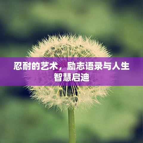 忍耐的藝術(shù)，勵志語錄與人生智慧啟迪