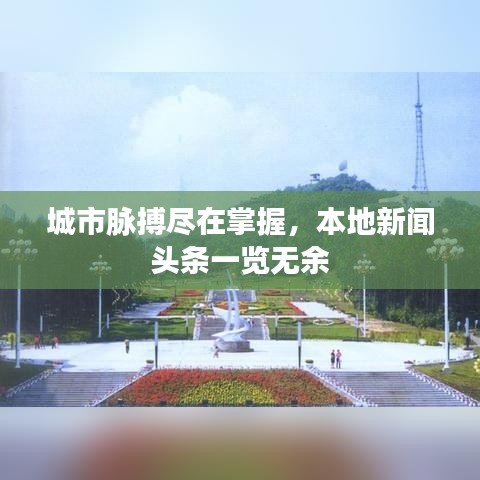 城市脈搏盡在掌握，本地新聞頭條一覽無余